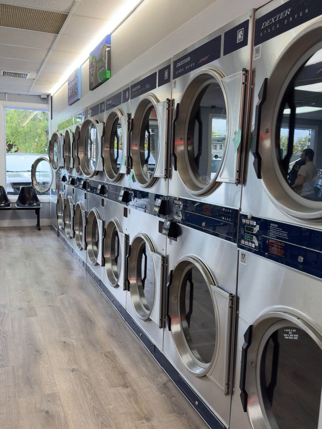 Row of clean Dexter dryers