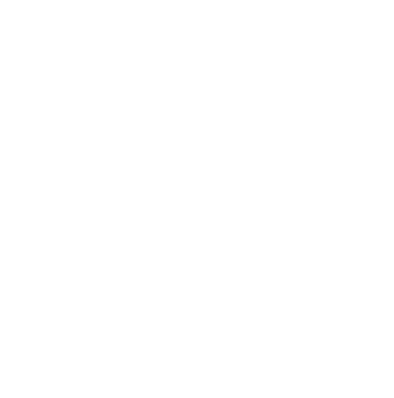New Paltz Express Laundry logo